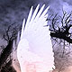 It is time to fly