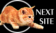 Next Feline Web Ring Site