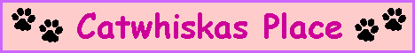 Cat Whiskas