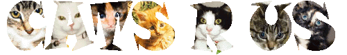 Cats-R-Us