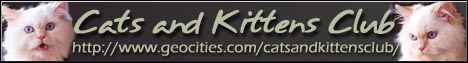 Cats & Kittens Club