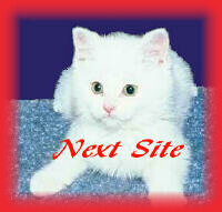 Cats and Kittens 
Webring Next Site