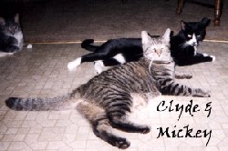 My buddies