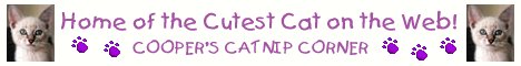 Cooper's Cat Nip Corner