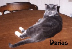 Darius