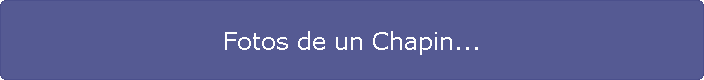 Fotos de un Chapin...