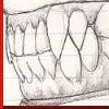 Click to view "Punk Teeth"