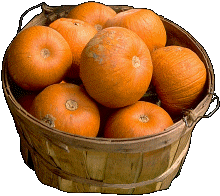 basket of pumpkins 2.gif (27133 bytes)