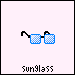 sunglass