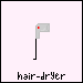 hair-dryer