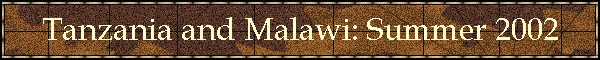 Tanzania and Malawi: Summer 2002