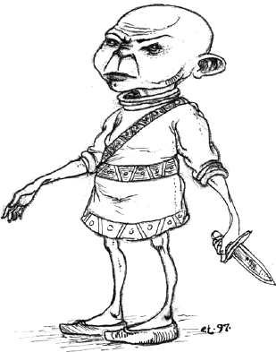 Xiaochan