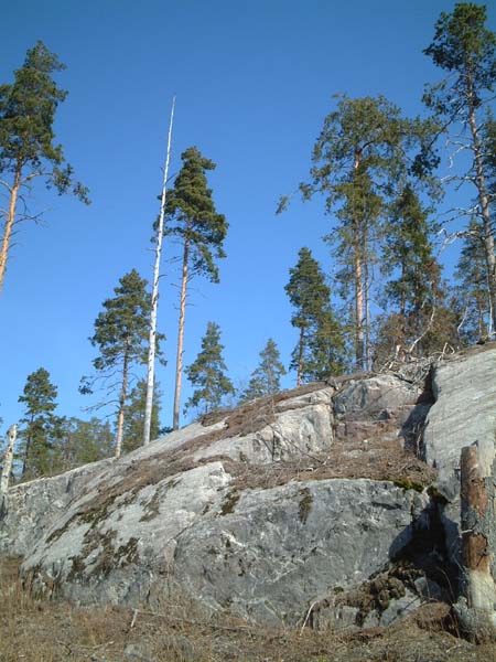 Lenkkimaisemaa WOW!
