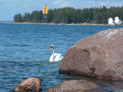 Meid�n Mika taitaakin olla luontokuvaaja :D