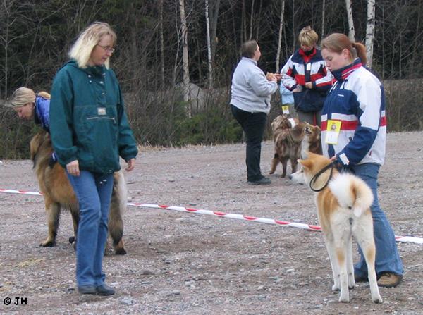 Uskallatko tulla?