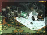 drunkcat.jpg (35198 bytes)