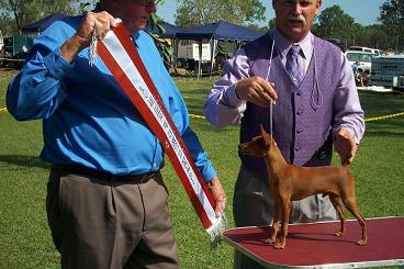 Emani Struttin His Stuff handled by Graham winning R/Up To Best Exhibit In Show 