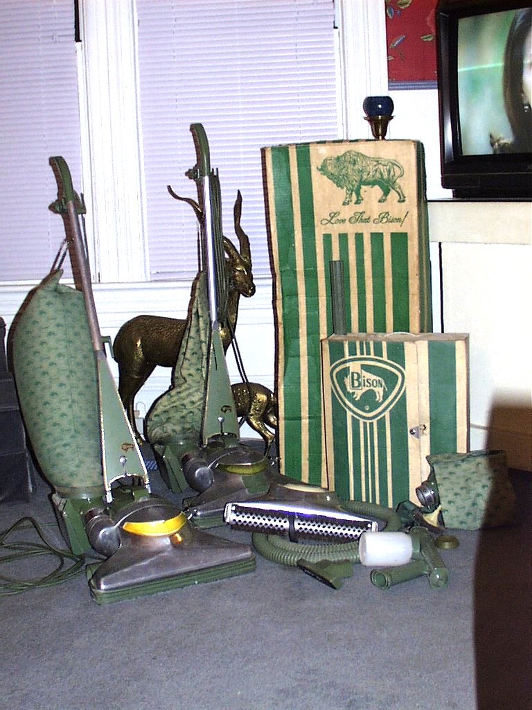 Bison Vacuum