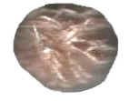 Desert Rose