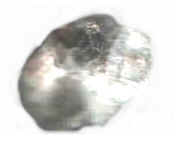 Mica