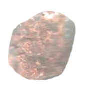 Prehnite