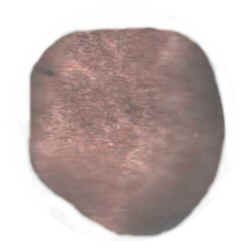 Red Sandstone