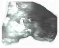 Zeolites