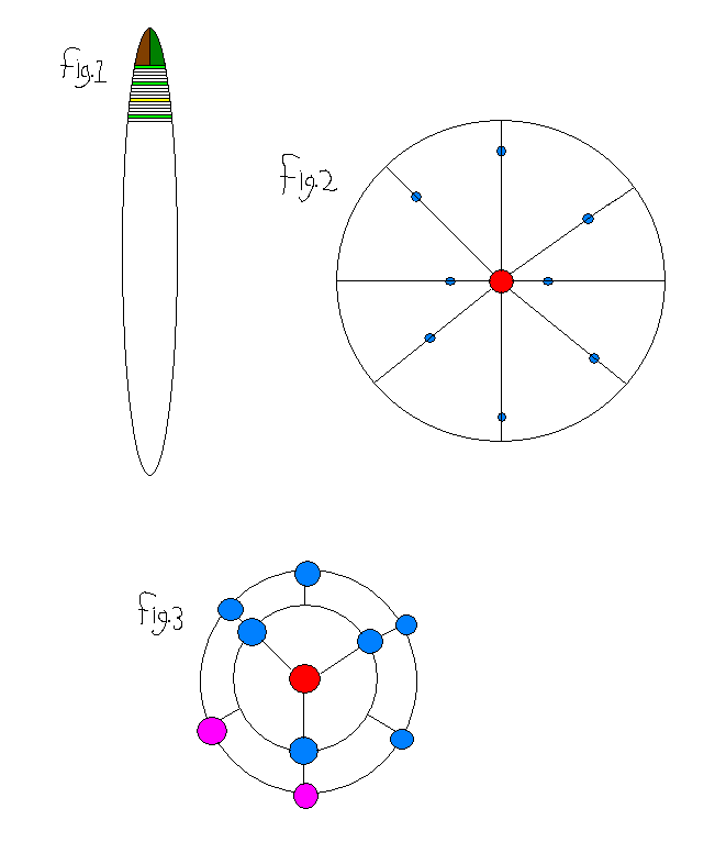 Schematic illustration of Central's layout, and vertical cross-section of a spindle.