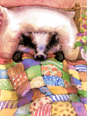 BED TIME QUILT