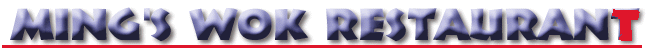 MI20.gif (293923 bytes)
