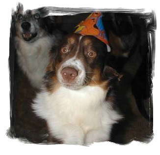 Skye and Ledoux Pup!