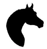 Come meet our horses