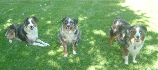 Skye, Eve and Jake