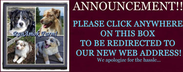Click to redirect!