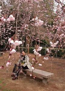 Imperial Palace Garden