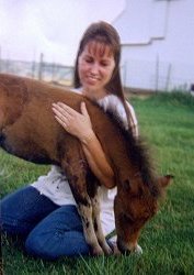 holdfoal.jpg (12052 bytes)