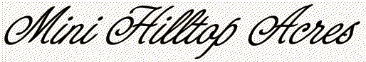newheader.gif (9088 bytes)
