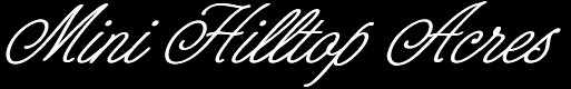 otherheader.jpg (12827 bytes)