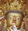 Lhasa Jowo