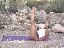 Denise Austin 12
