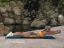 Denise Austin 2
