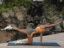 Denise Austin 3