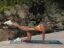 Denise Austin 4