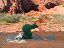 Denise Austin in Green 6
