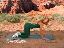 Denise Austin in Green 7
