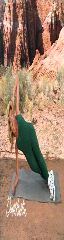 Denise Austin in Green 10