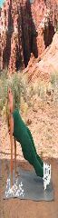 Denise Austin in Green 11