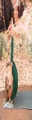 Denise Austin in Green 13