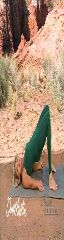 Denise Austin in Green 15