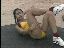 Trella in Yellow 3